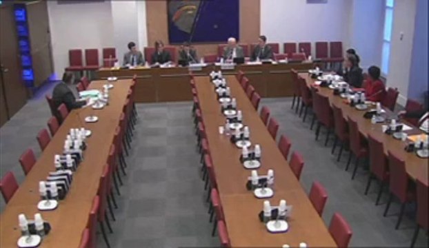 Audition de M. Philippe Didier-Courbin, dg adjoint de la DGCS - Jeudi 31 Janvier 2013