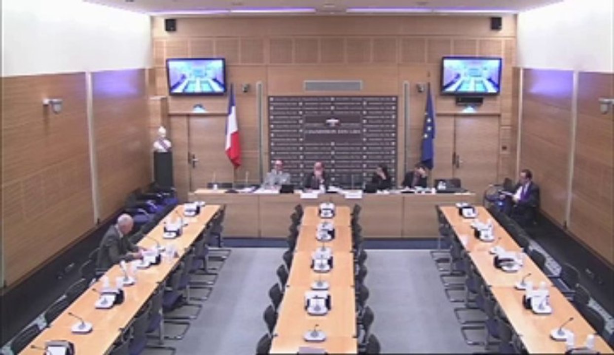 Audition de M. Christophe Caresche, député - Mardi 16 Octobre 2012