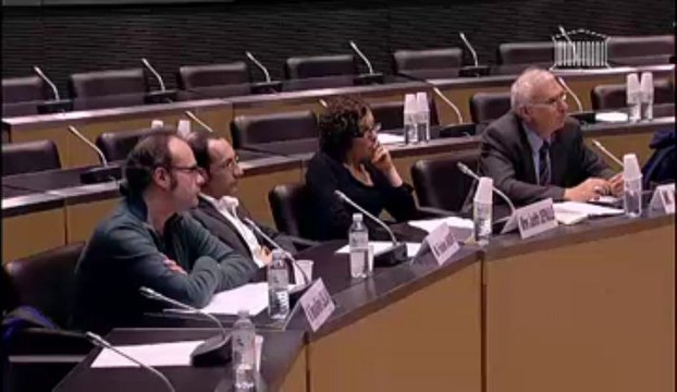 Audition du syndicat national des entreprises artistiques et culturelles - Jeudi 31 Janvier 2013