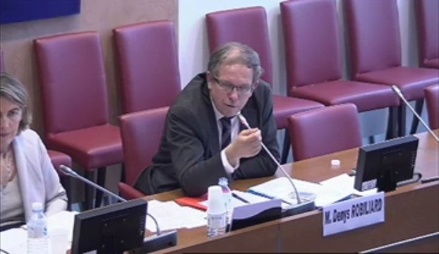 Audition de Mme Liliane Capelle, adjointe au maire de Paris, chargée des seniors - Jeudi 3 Octobre 2013