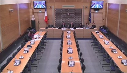 Audition de Mme Christine Lazerges, pdte de la Commission nationale consultative des droits de l'Homme - Jeudi 19 Septembre 2013