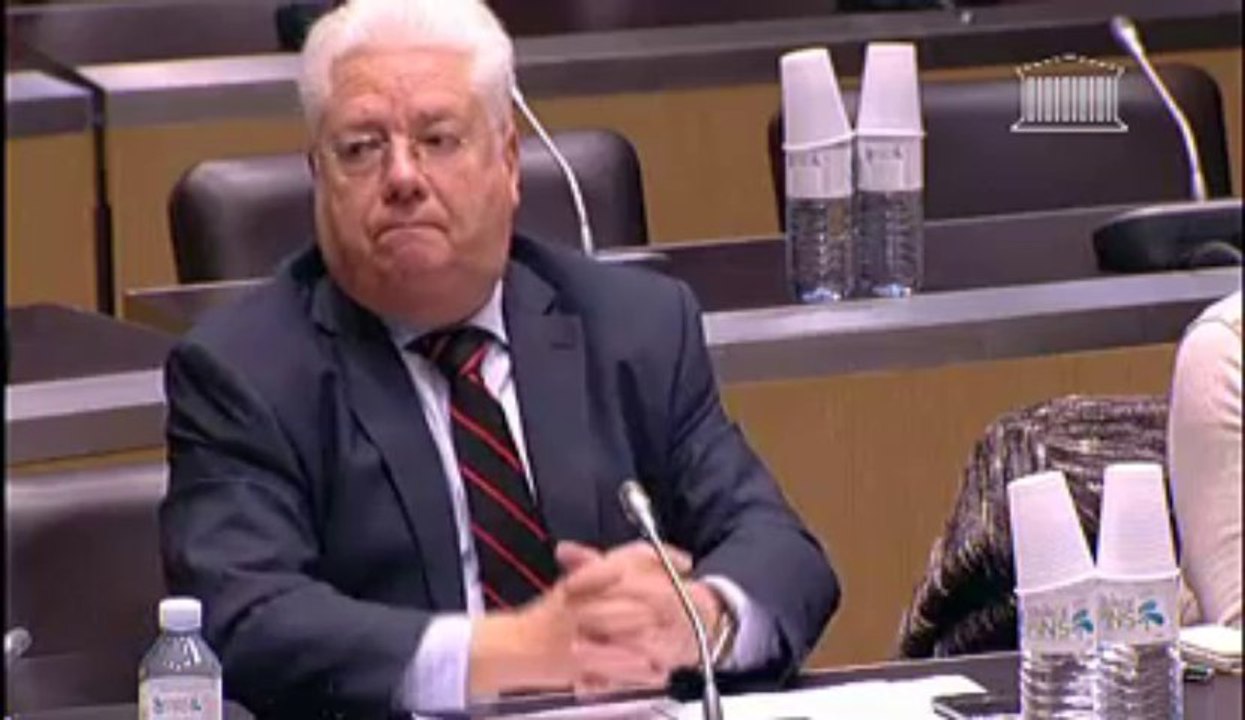 Audition de MM. Pierre Cahuc, Professeur à l'école polytechnique, et Stéphane Carcillo, maître de conférence à l'université de Paris I - Jeudi 8 Novembre 2012