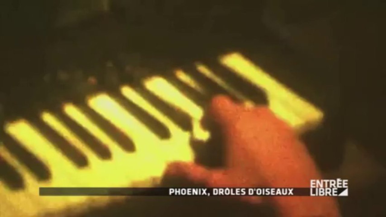 PHOENIX