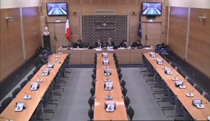 Audition de M. Roland Agret, Action Justice - Jeudi 10 Octobre 2013