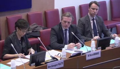 Audition de M. Franck Von Lennep (DREES) et M. Denis Raynaud (OSAM) - Jeudi 31 Janvier 2013