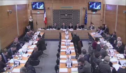 Coprésidence paritaire d'un groupe politique  - Mercredi 23 Janvier 2013
