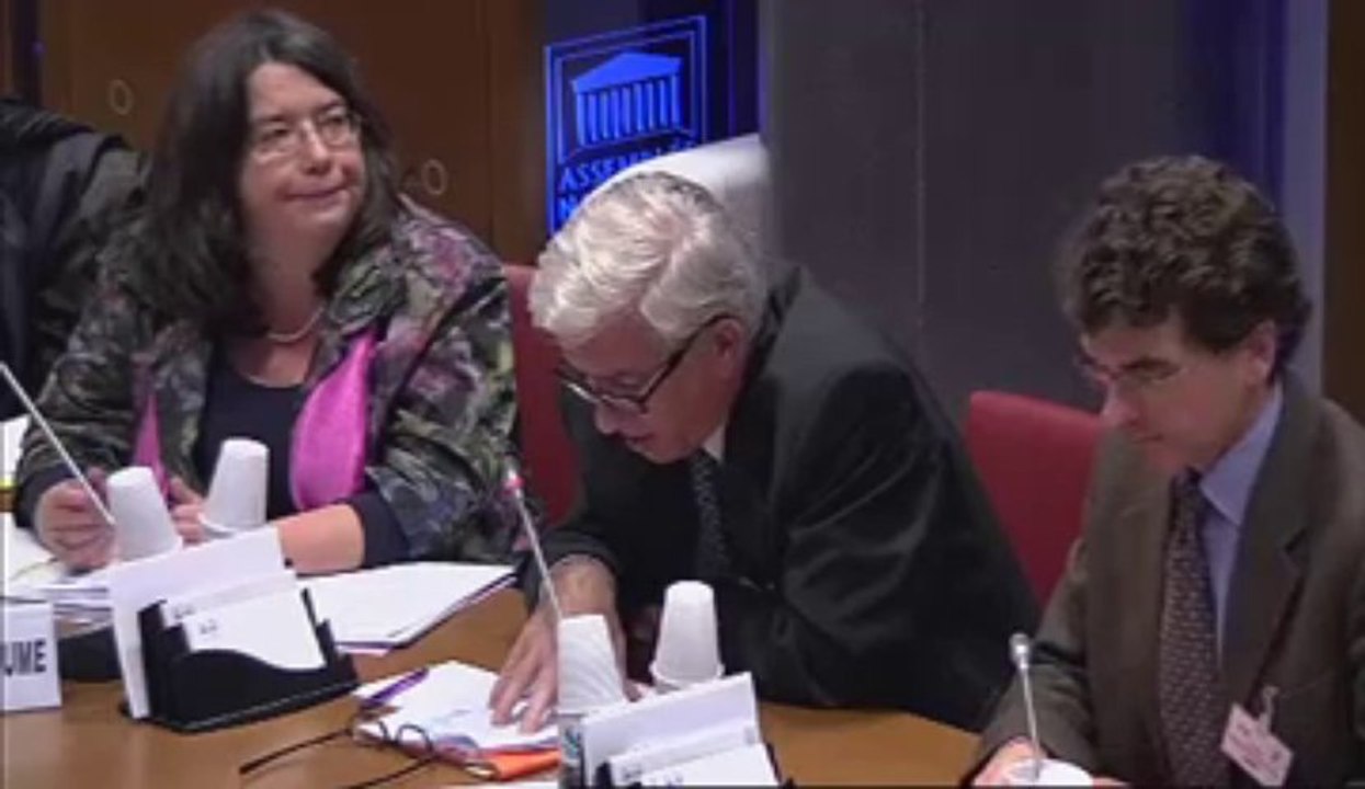 Audition de M. Stéphane Seiller, dg du Régime social des indépendants, Dr Pascal Perrot, médecin-conseil national, Mme Stéphanie Deschaume, directrice de cabinet - Mercredi 28 Novembre 2012