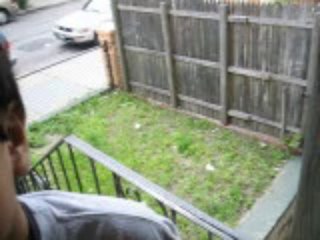 regular pictures 102