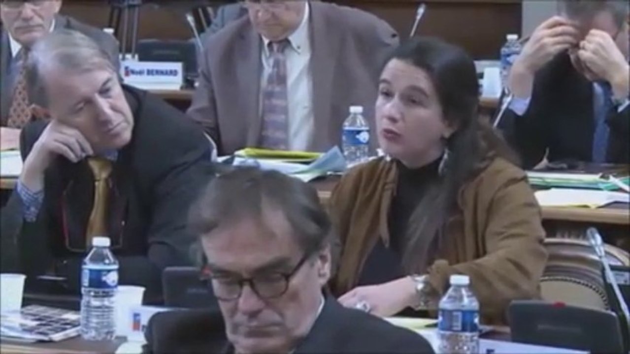 Céline MAGLICA. Débat d'orientations budgétaires 2014. 22 novembre 2013