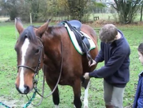 Cardie Caen - Un support pour réaliser une interview en classe