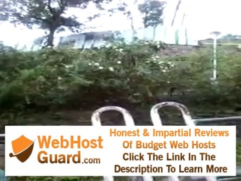 Web design and development, Search Engine Optimization, Domain and Web hosting,