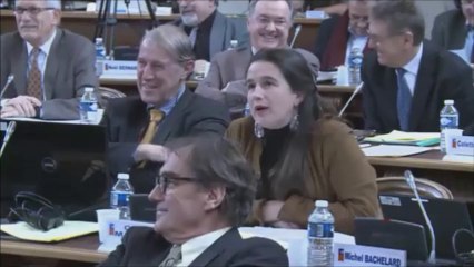 Céline MAGLICA. Schéma de développement durable. 22 novembre 2013