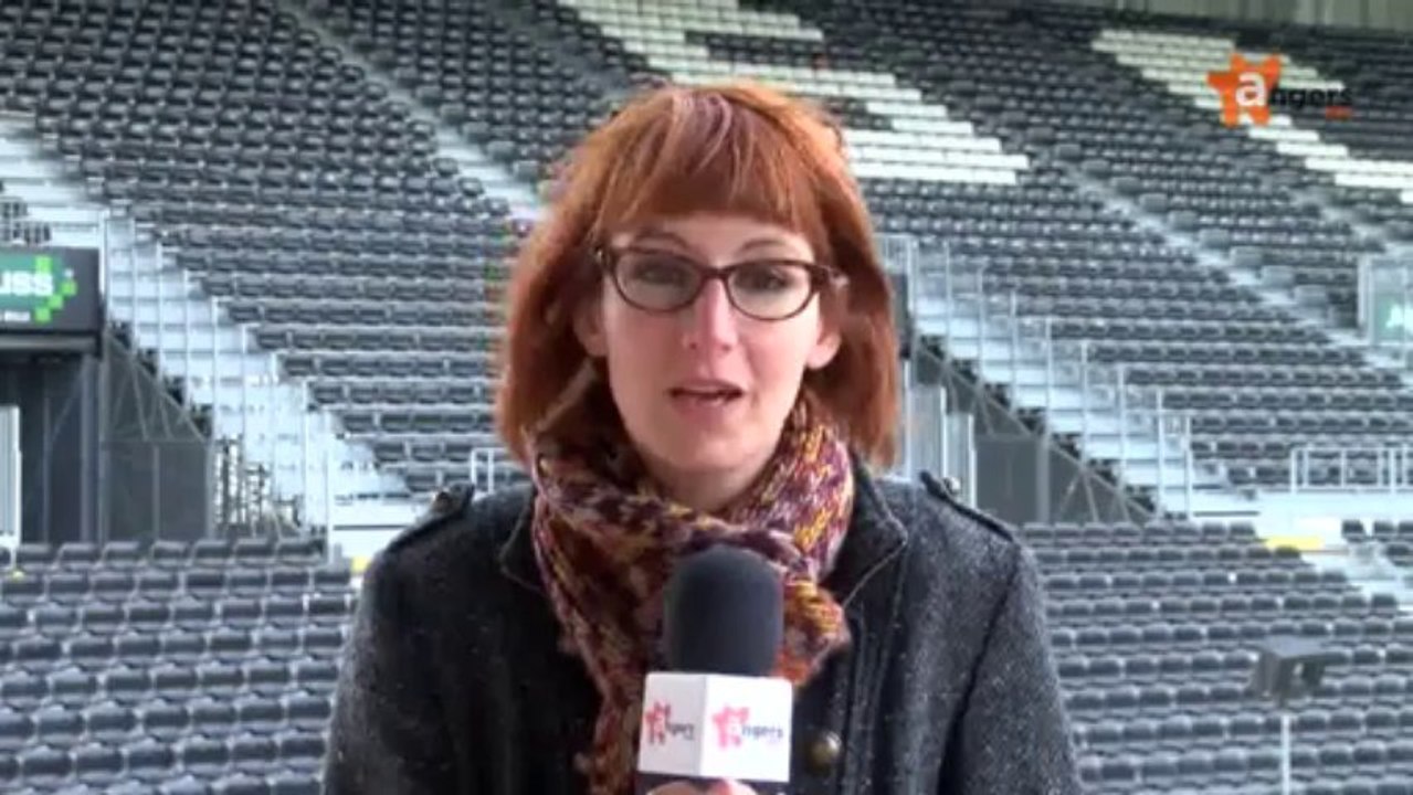 JT NOVEMBRE 2013 [S.11] [E.15] - Le journal du vendredi 22 novembre