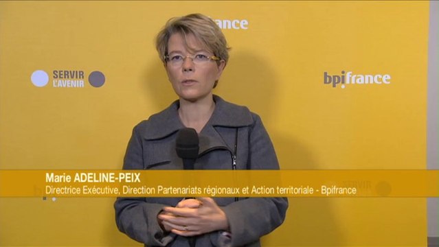 Marie Adeline-Peix - Répartition des rôles entre les régions et Bpifrance sur les dossiers d'investissement