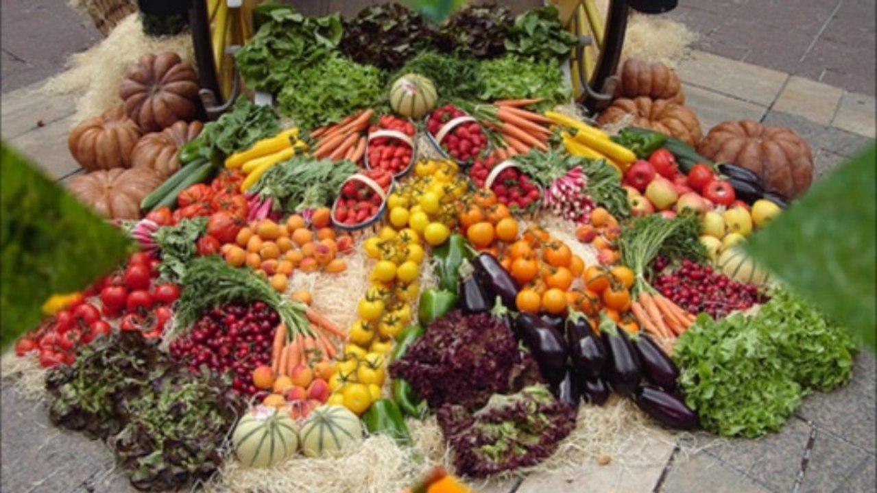 ORGANIC FOOD