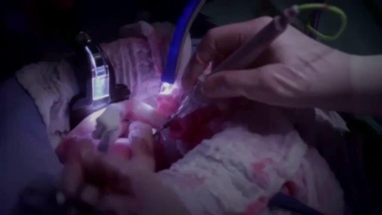 Callie & Arizona+Leah10x10|1