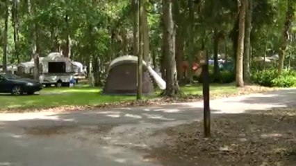 Manatee Hammock in Titusville, FL - Kennedy Space Center