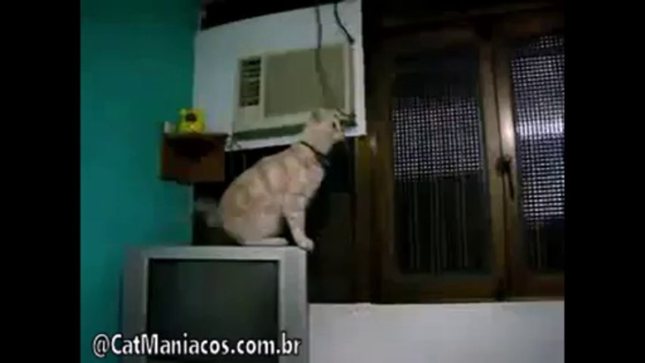 Erro de Calculo