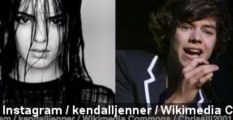 Are Kendall Jenner And Harry Styles Dating?