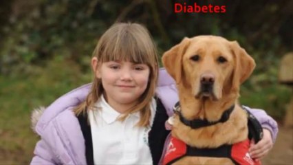 10 Unexpected Things That Dogs Can Smell