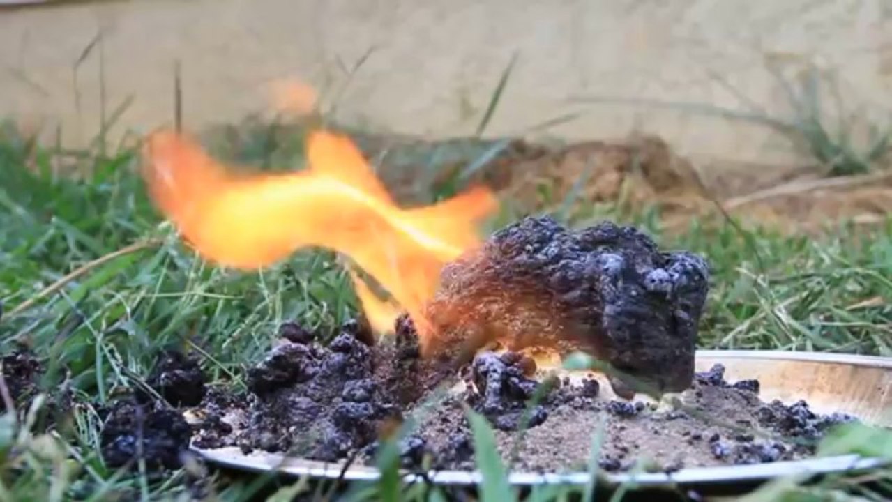 Black Snake Science Experiment