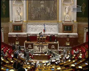 RÉPARTITION DES CONTENTIEUX ET ALLÈGEMENT DE CERTAINES PROCÉDURES JURIDICTIONNELLES (Nouvelle lecture) - Mardi 12 Juillet 2011