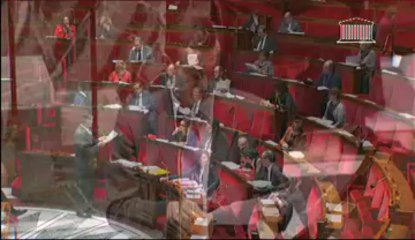 SUSPENSION CONDITIONNEMENT ALIMENTAIRE CONTENANT DU BISPHÉNOL A (deuxième lecture) - Mercredi 28 Novembre 2012