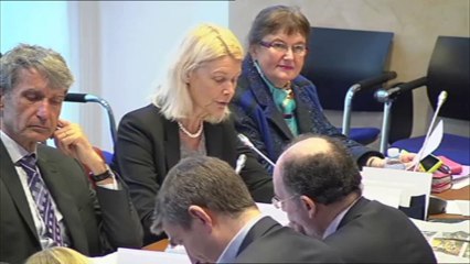 Audition de M. Didier Houssin, dont la nomination à la pdce de l'ANSES est envisagée - Mercredi 13 Novembre 2013