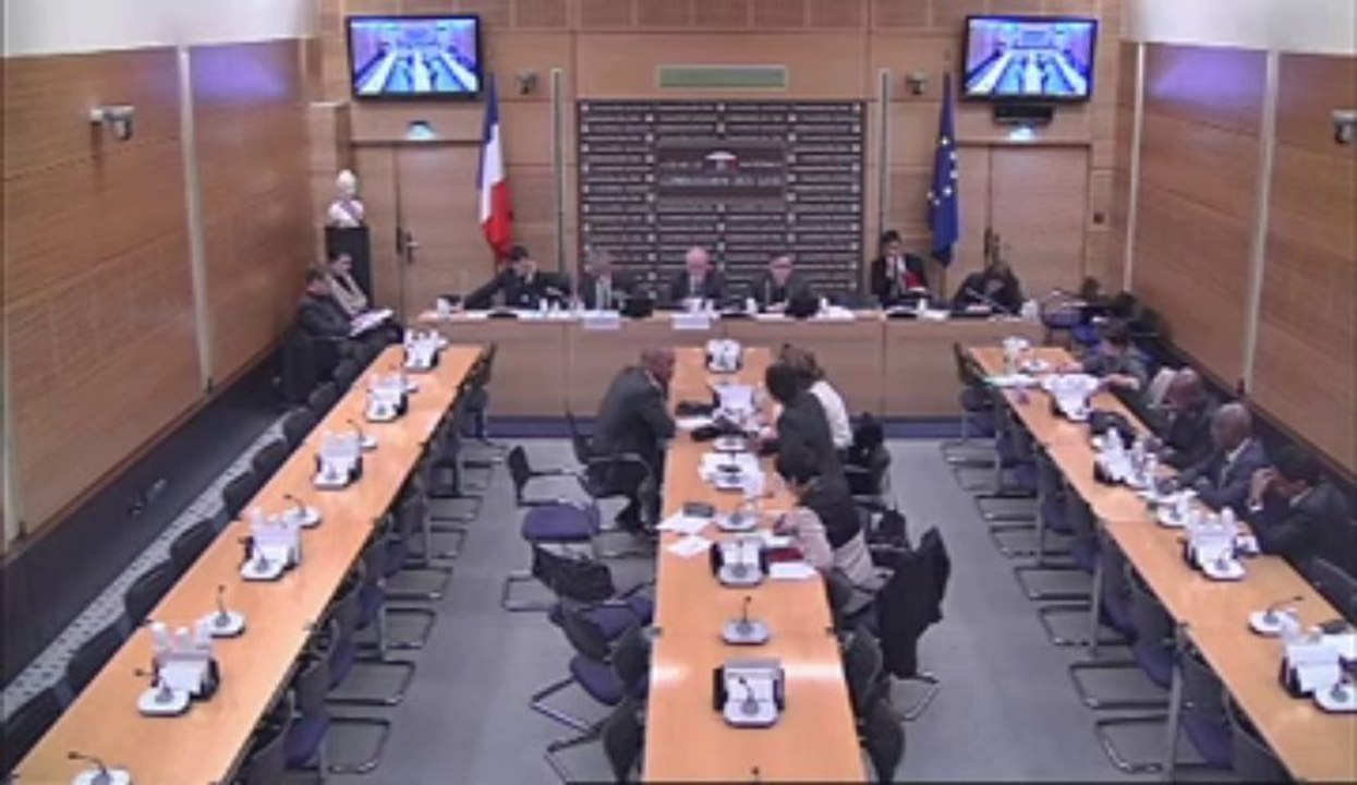 Audition de M. Victorin Lurel, ministre des Outre-mer, sur la taxe de l’octroi de mer, la défiscalisation et l’agriculture outre-mer - Mardi 26 Mars 2013