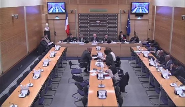 Audition de M. Victorin Lurel, ministre des Outre-mer, sur la taxe de l’octroi de mer, la défiscalisation et l’agriculture outre-mer - Mardi 26 Mars 2013