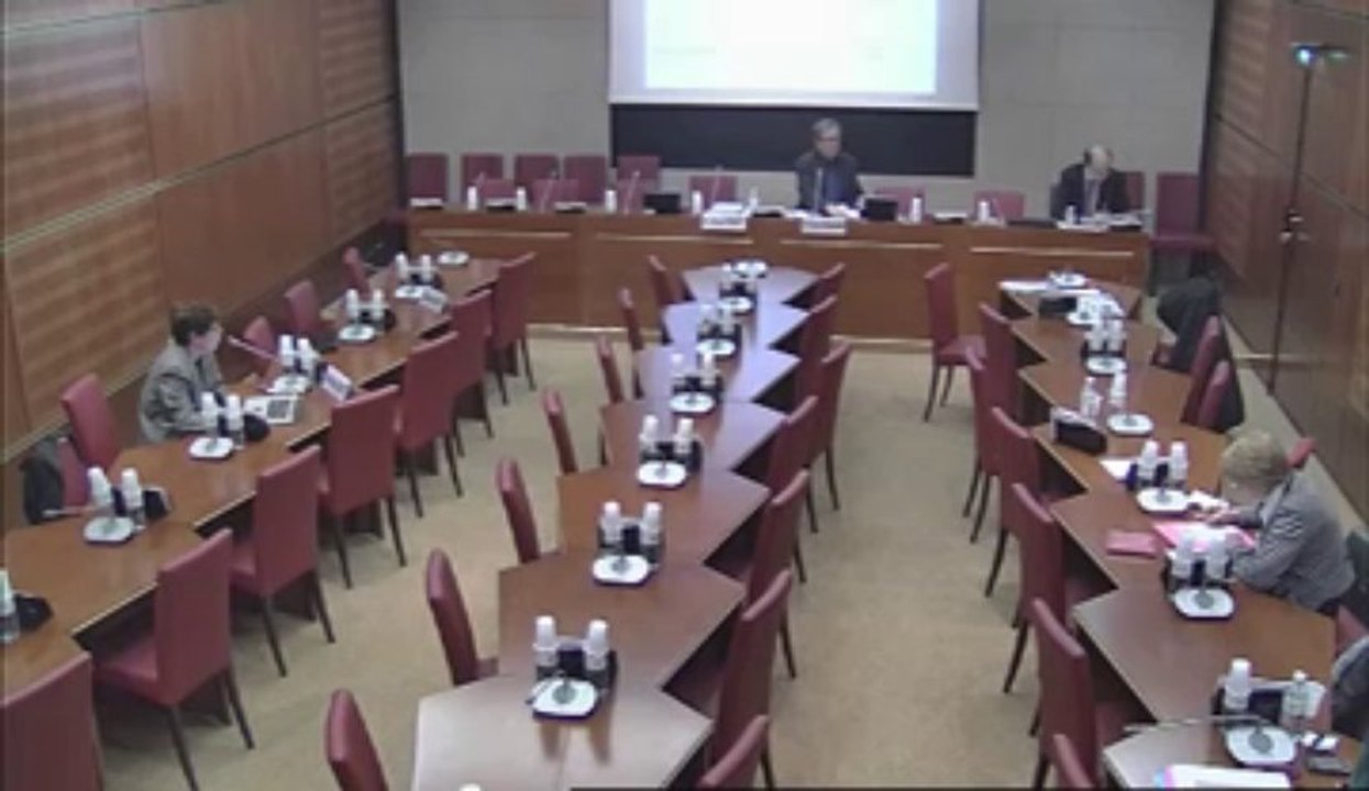 Audition de Mme Marion Leboyer, resp. pôle psychiatrie Henri Mondor - Jeudi 7 Février 2013