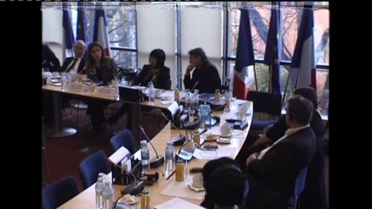 Audition de Mme Vlora Citaku, ministre de l'intégration européenne du Kosovo - Mercredi 20 Novembre 2013