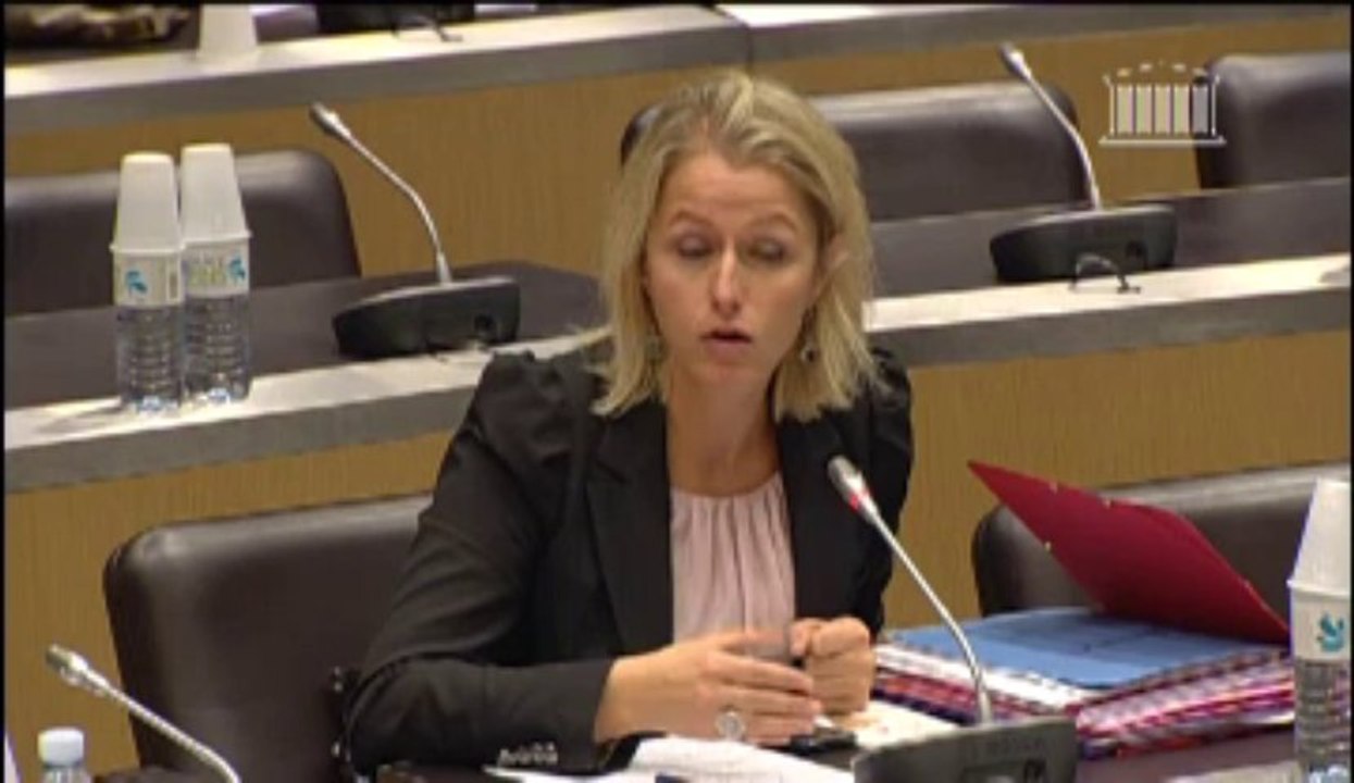 M. Gilles Demailly, maire d’Amiens - Mercredi 9 Octobre 2013