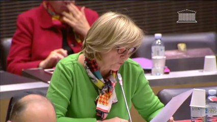 Audition de M. Rémy Pflimlin, pdt de France Télévisions - Mercredi 20 Novembre 2013