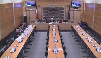 table ronde sur les défis posés par le maintien en détention de personnes souffrant de troubles mentaux - Jeudi 29 Novembre 2012