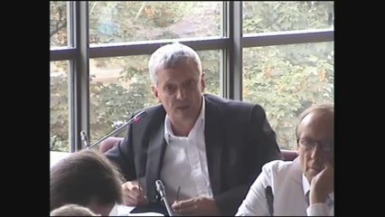 Audition sur le contexte économique de la filière caoutchouc-pneumatiques - Mercredi 2 Octobre 2013