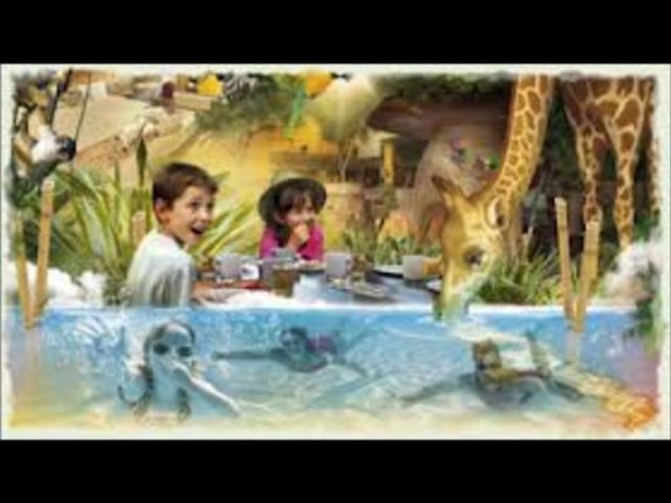 Nisha Mehta 9650100436 Agrante Builder Gurgaon Project Sector 107-23/11