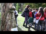 Napoli - La Festa dell'Albero all'Orto Botanico -1- (22.11.13)