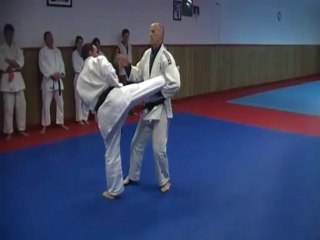 Jujitsu Rollin Philippe