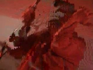 Wagga wagga festival