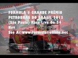 Online F1 Brazilian Grand Prix (Sao Paulo) 2013