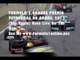 F1 Brazilian Grand Prix (Sao Paulo) 2013 Full Race