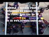 F1 Brazilian Grand Prix (Sao Paulo) 2013 Online