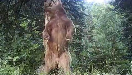 Daha önce böyle hiç görüntülenmemişti