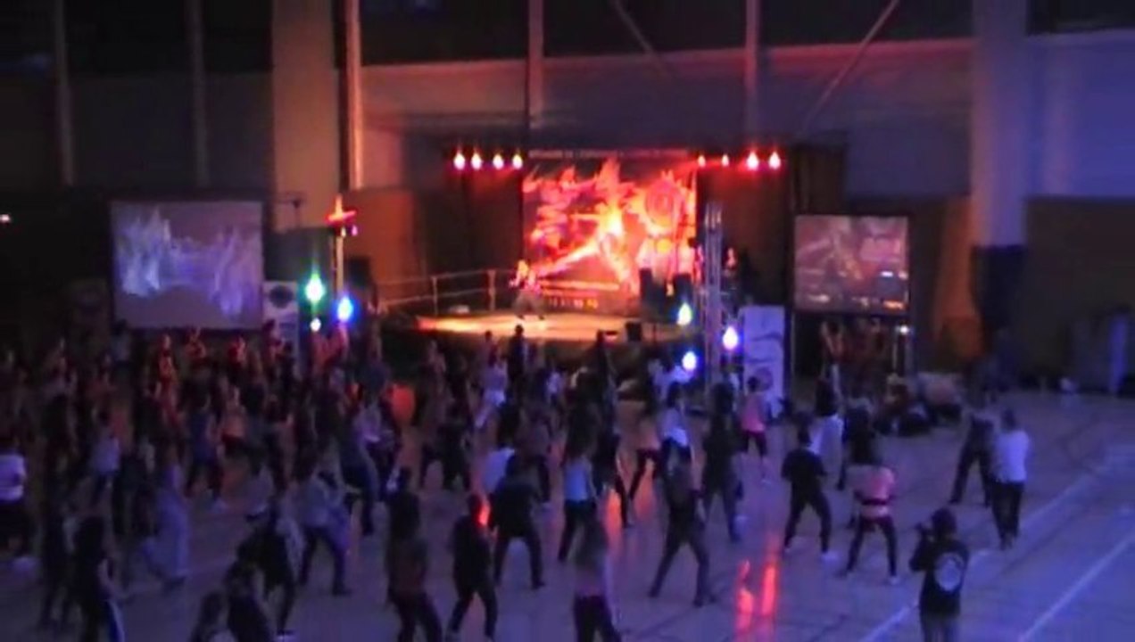 ASF 9ème Lyon Marathon Fitness 15-16 novembre 2013