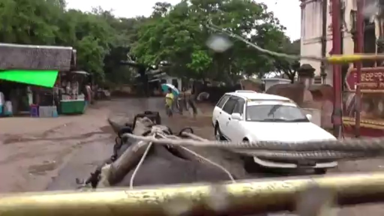 Transport local : Taxi "Charrette"