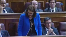 El PSOE pide un 