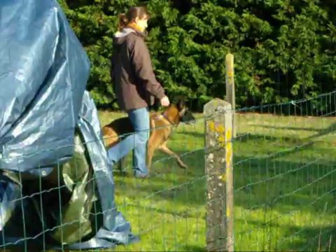 concours obé sorinières