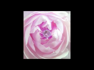 un amour brille dans ton coeur