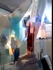 haircut on long blonde to short bob and than pixie